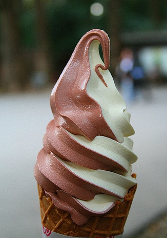 Ice Cream Truck Service - Toronto | 4 Kinsdale Blvd, Etobicoke, ON M8Y 1T7, Canada | Phone: (647) 390-0991