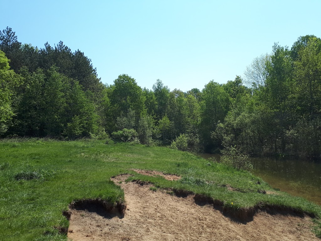 Withchurch Conservation Area | Unnamed Road, Newmarket, ON L3Y 4W1, Canada