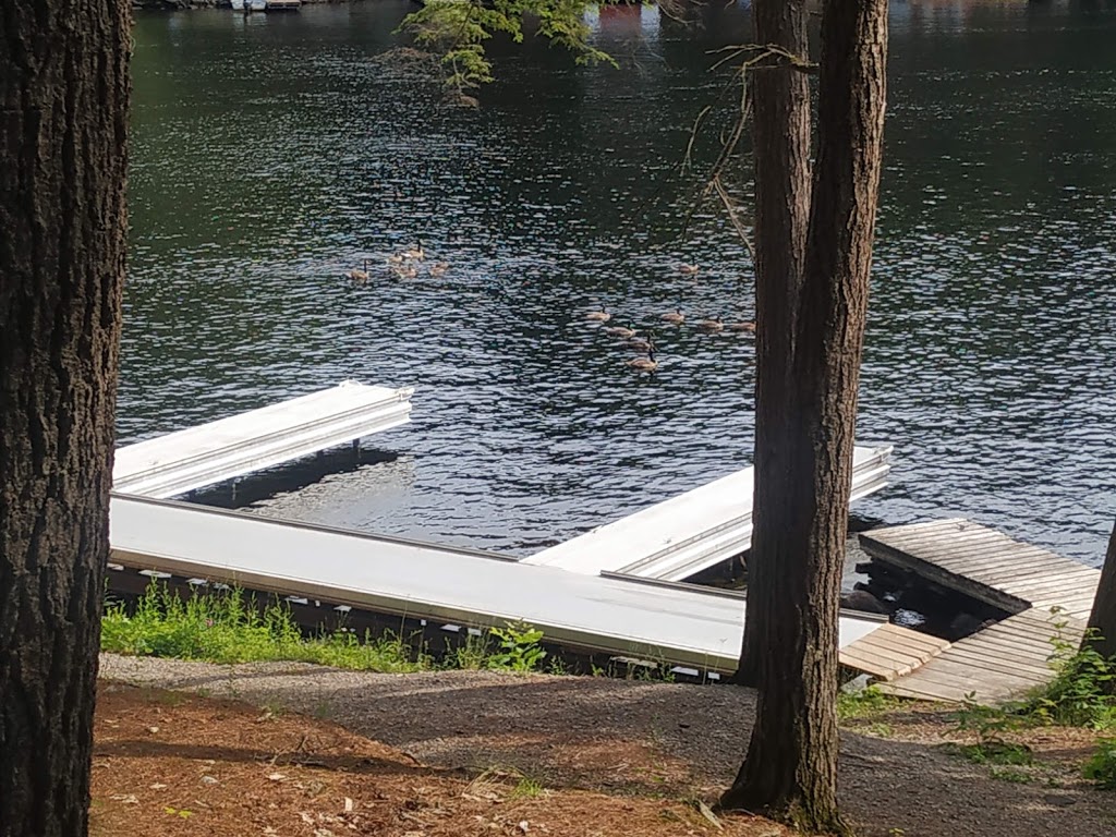 Tamarack Park & Marina | 1941 Tamarack Ln, Coldwater, ON L0K 1E0, Canada | Phone: (705) 686-7935