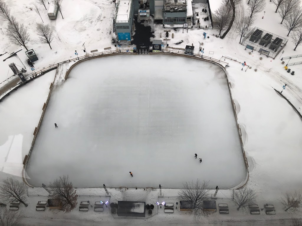 Patinoire réfrigérée du Vieux-Port de Montréal | Bassin Bonsecours, Montréal, QC H2Y 2E2, Canada | Phone: (514) 496-7678