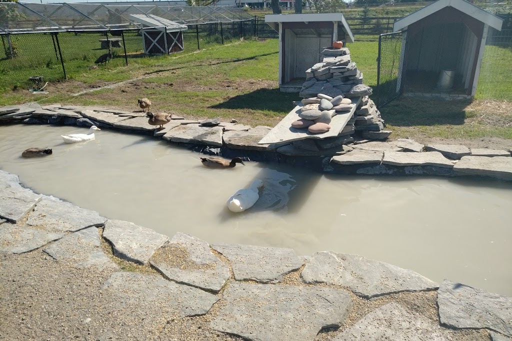 Chappell Farms | 617 Penetanguishene Rd, Barrie, ON L4M 4Y8, Canada | Phone: (705) 721-1547