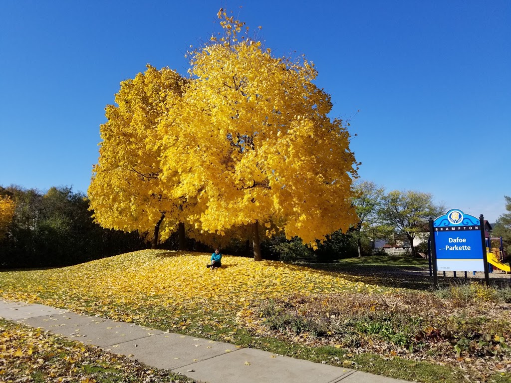 Dafoe Parkette | Charolais Blvd, Brampton, ON L6Y 2L2, Canada