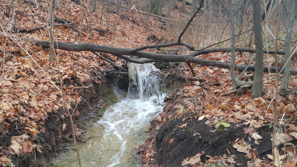 Turney Woods Park | 3G6, 5898 Turney Dr, Mississauga, ON L5M 3G4, Canada