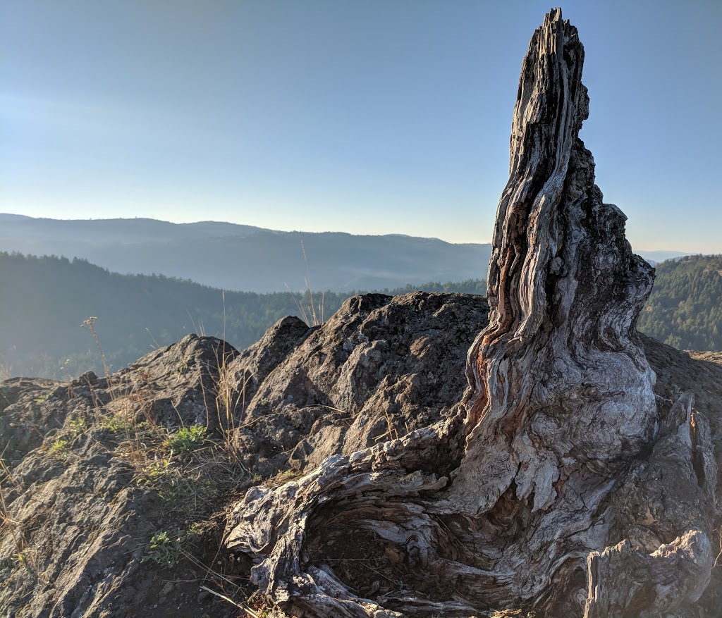 Lone Tree Hill | 1450 Millstream Rd, Victoria, BC V9B 6G1, Canada