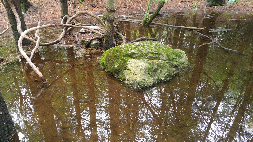 Starkey Hill Conservation Area | 735 Arkell Rd, Puslinch, ON N0B, Canada | Phone: (519) 824-5061