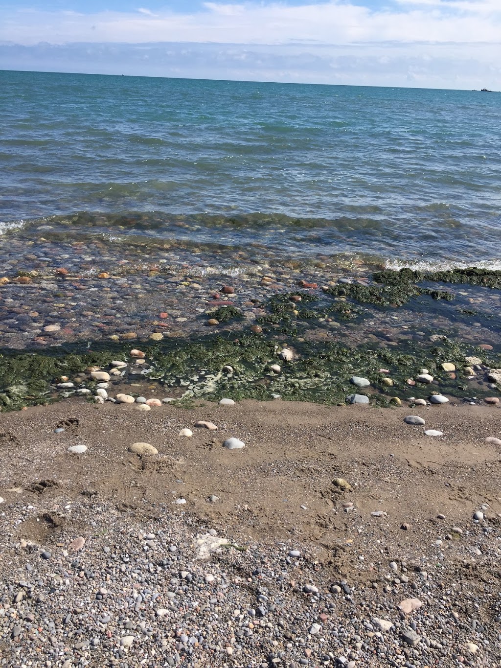 Woodbine Beach Park | 1675 Lake Shore Blvd E, Toronto, ON M4L 3W6, Canada