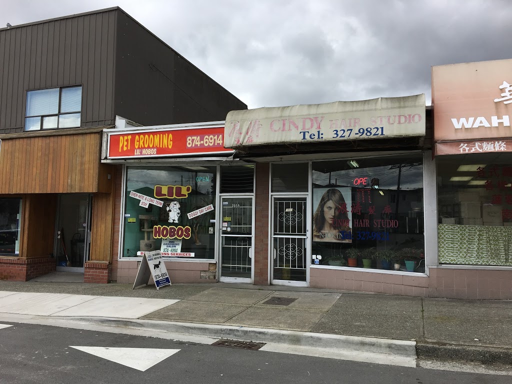 Cindys Hair Studio | 7057 Victoria Dr, Vancouver, BC V5P 3Y9, Canada | Phone: (604) 327-9821