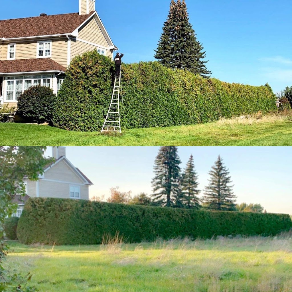 Les Haies Samplait | 18 Rang Saint-André, Saint-Mathieu, QC J0L 2H0, Canada | Phone: (514) 531-3093