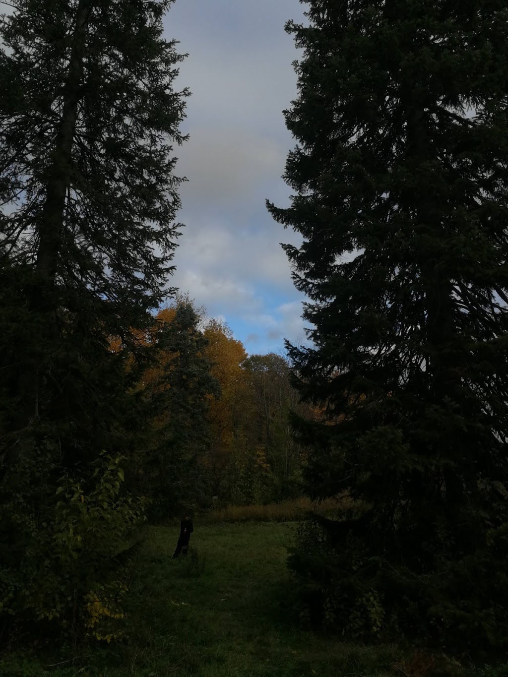 Conservation Center | 150 Ch des Pins, Sainte-Anne-de-Bellevue, QC H9X 3L2, Canada