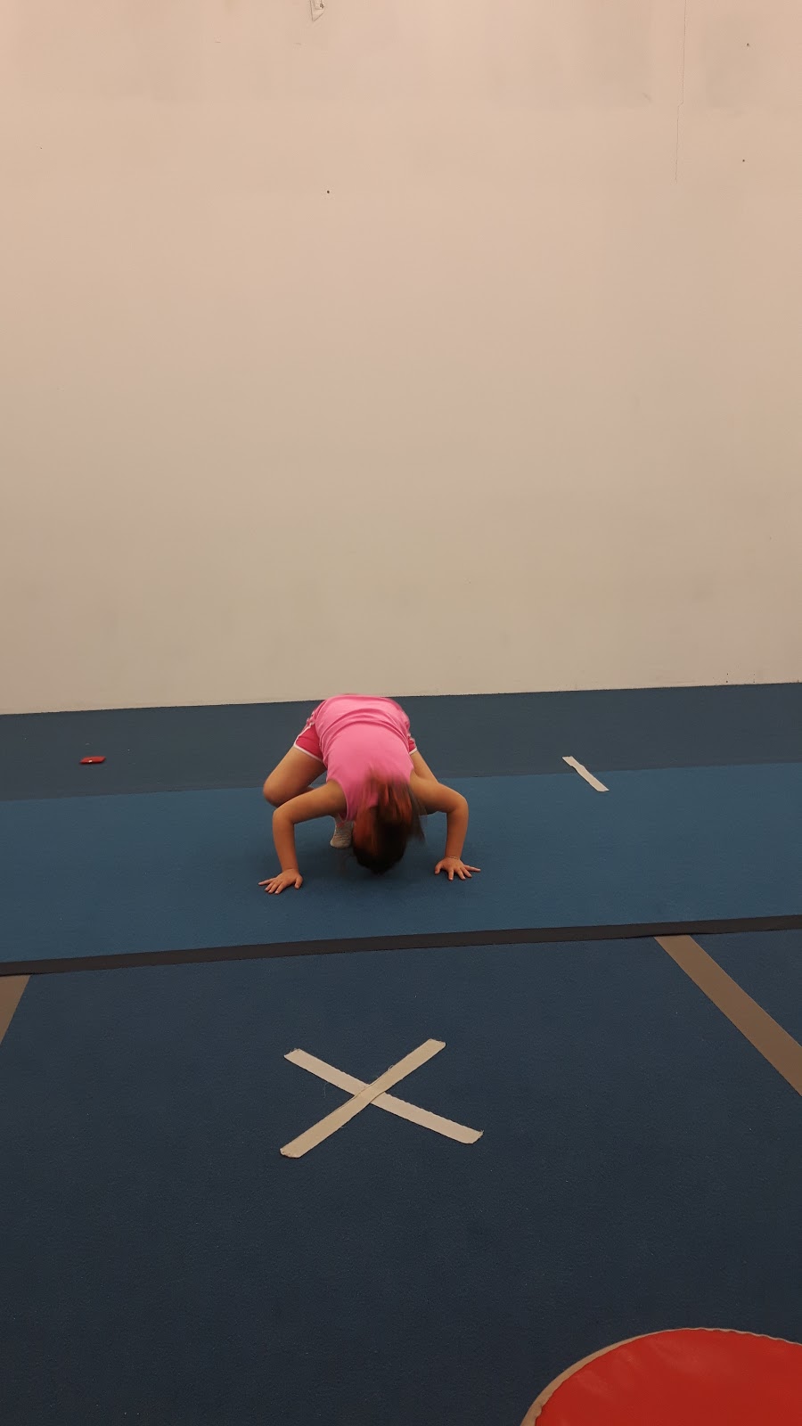 Cheer On Bears Cheerleading | 30 Arrow Rd, Guelph, ON N1K 1S6, Canada | Phone: (226) 971-1614