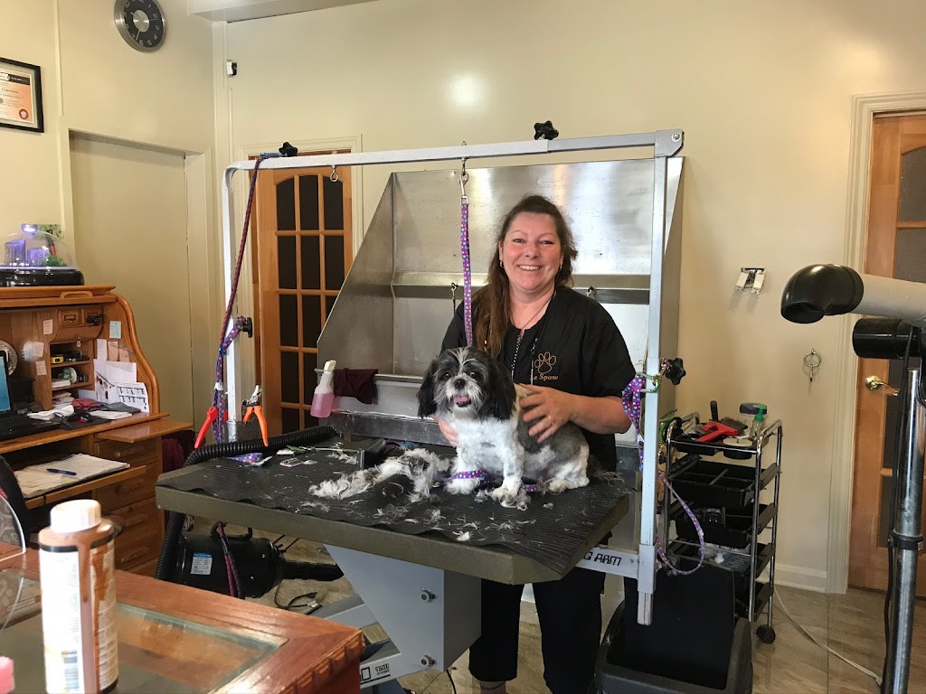 toilettage Le Spaw Grooming | 38 Rue Lambton, Ormstown, QC J0S 1K0, Canada | Phone: (450) 829-1157