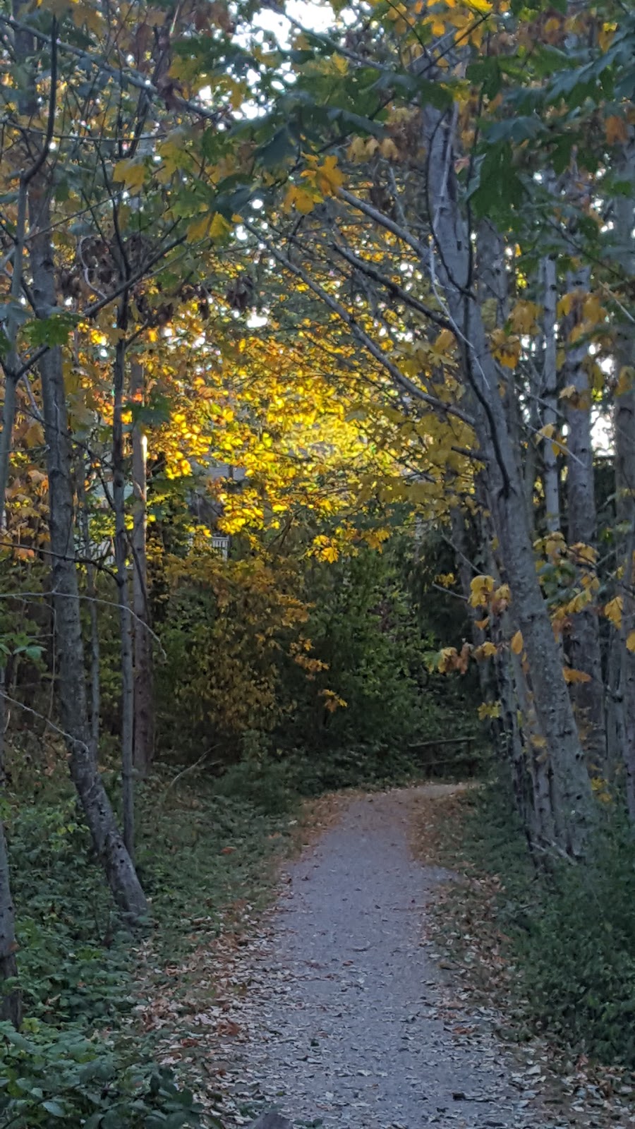 Northridge Park | 3400 Carrington Way, Bellingham, WA 43026, USA | Phone: (360) 778-7000