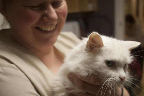 Departure Bay Veterinary Hospital | 3128 Barons Rd, Nanaimo, BC V9T 4B5, Canada | Phone: (250) 758-1162