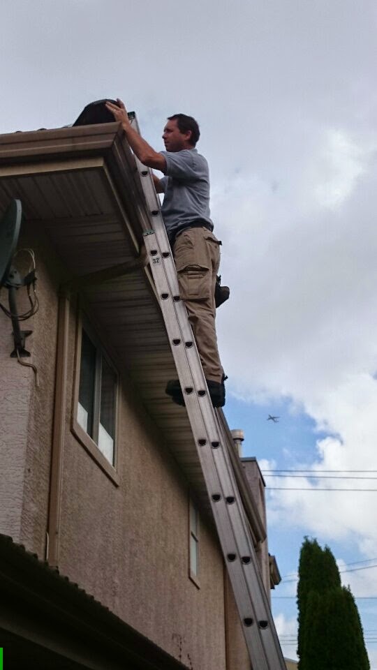 Pest Detective - Vancouver | 2856 Eton St, Vancouver, BC V5K 1K5, Canada | Phone: (604) 685-3377