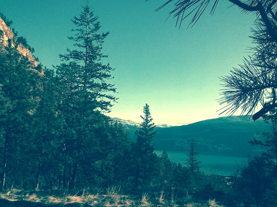 Allyson Vollmer, Registered massage therapist | 202-300 Riverside Drive Penticton, BC, Penticton, BC V2A 5Y5, Canada | Phone: (250) 809-5314
