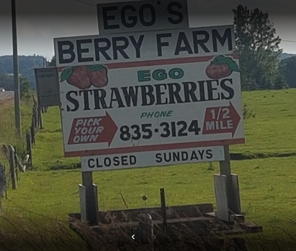 Egos Berry Farm | 3608 9 Line N, Coldwater, ON L0K 1E0, Canada | Phone: (705) 835-3124