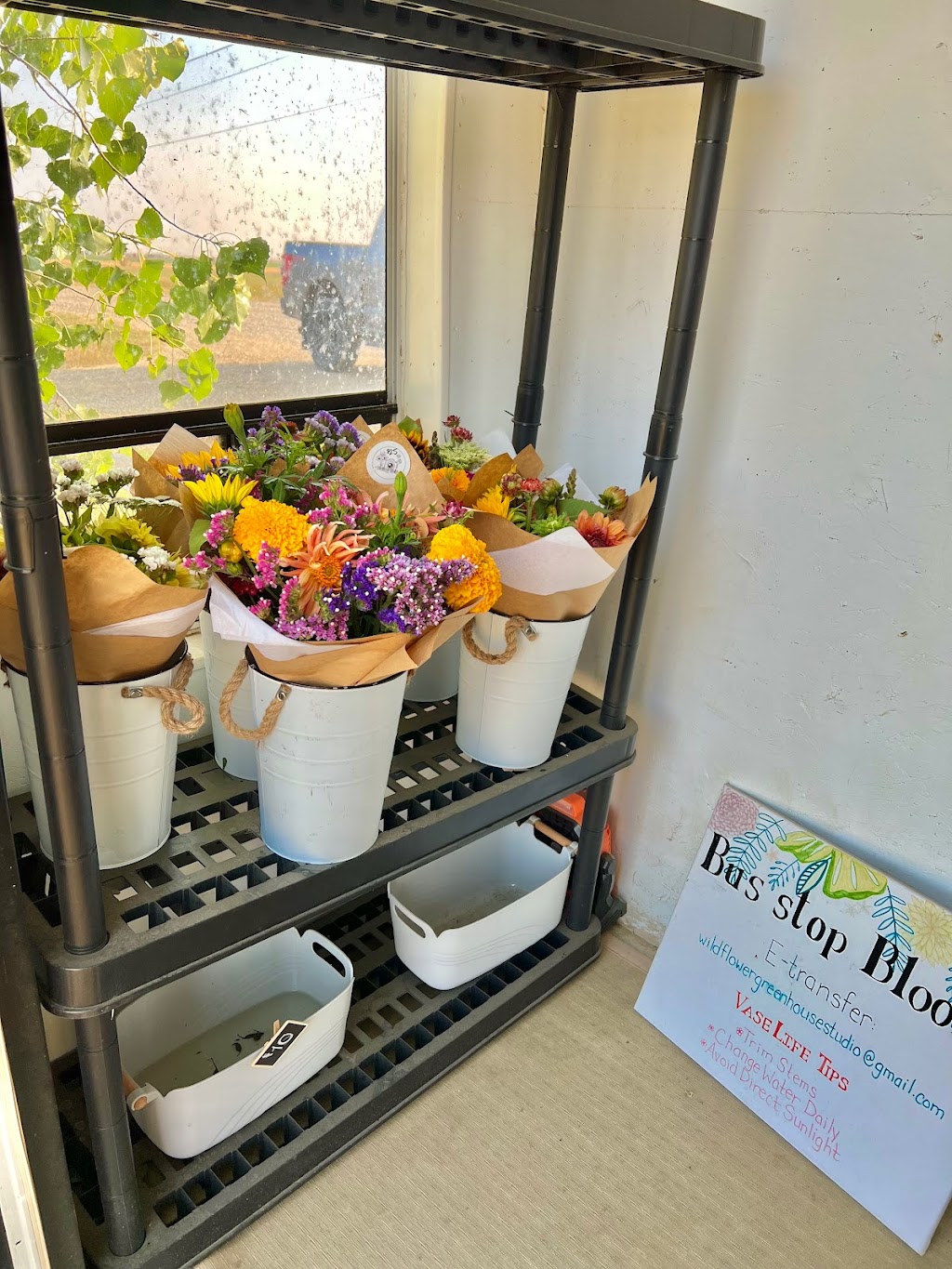 Wildflower Greenhouse Studio | 182042 Rge Rd, 182024 Range Rd 142 #142, Newell County No. 4, AB T1R 1C6, Canada | Phone: (403) 376-2085