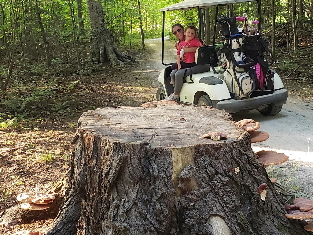 Pirates Cove | 399 Ketchankookem Trail, Mindemoya, ON P0P 1S0, Canada | Phone: (705) 377-4979