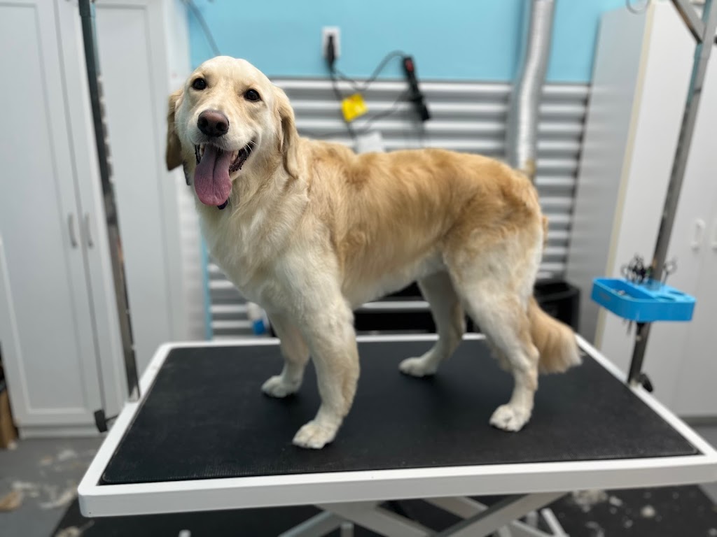 Cutie Patootie Grooming | 143 Borden Ave unit 10, Belmont, ON N0L 1B0, Canada | Phone: (226) 883-0955