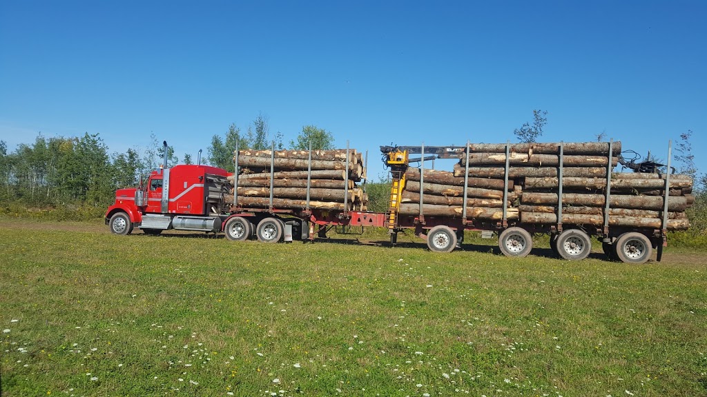 NORTH NOVA FOREST OWNERS CO-OP LTD | 11986 NS-4, Wentworth, NS B0M 1Z0, Canada | Phone: (902) 548-2400