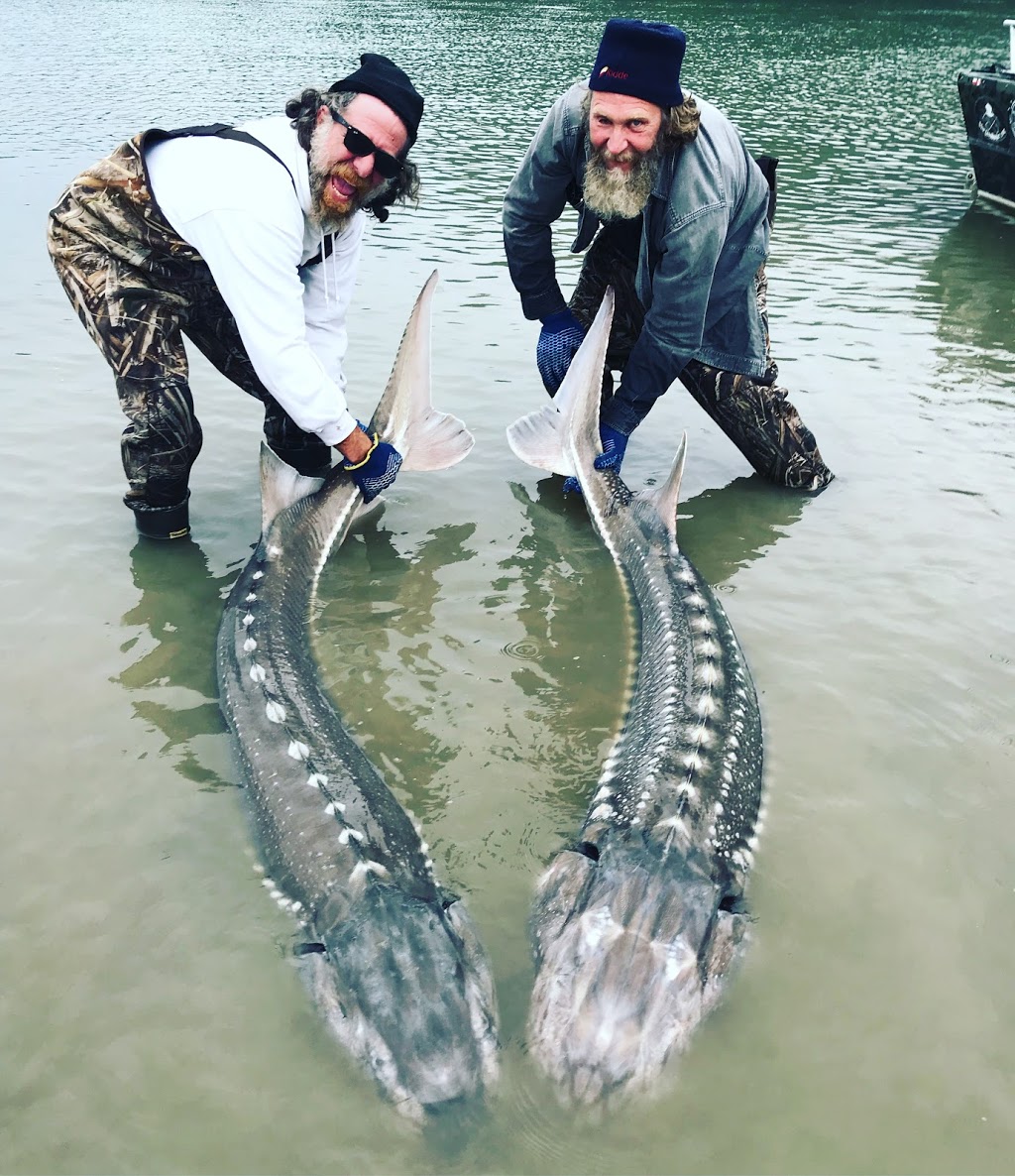 Kilbylodge-Sturgeon Adventures | 76 Kilby Rd, Agassiz, BC V0M 1A1, Canada | Phone: (604) 316-3988