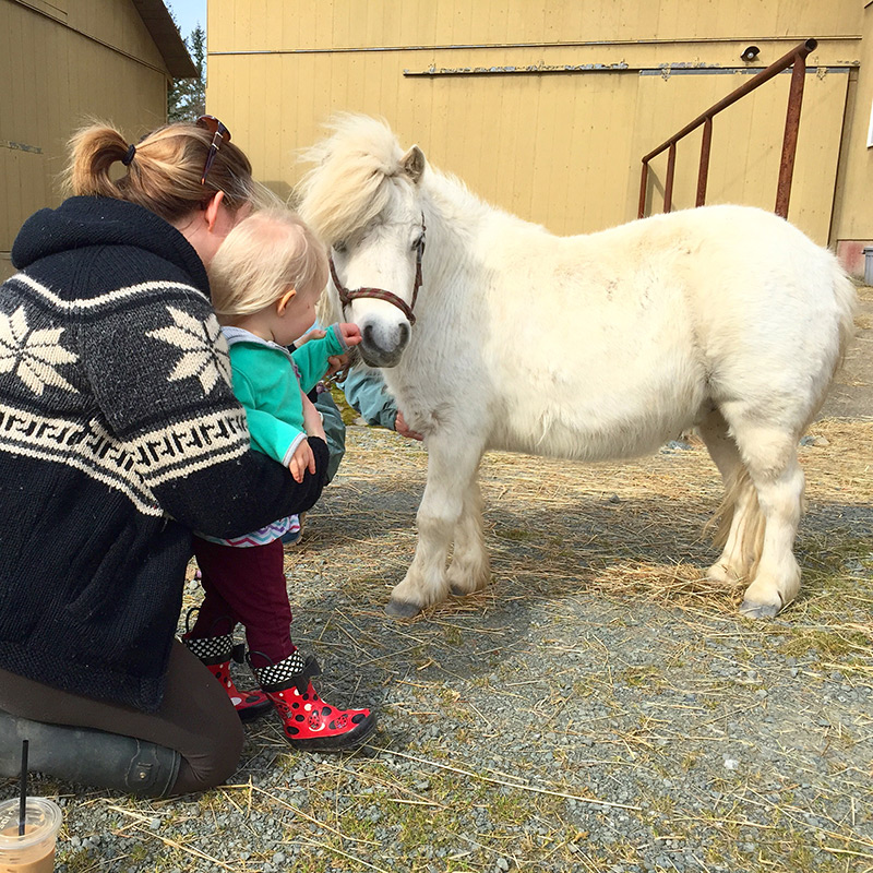 Silverside Farm | 3810 Cobble Hill Rd, Cobble Hill, BC V0R 1L5, Canada | Phone: (250) 743-9149