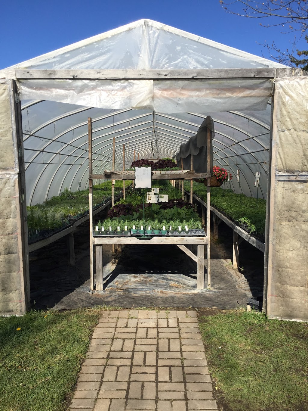 Grumpas Organic Greenhouses | 7871 Concession Rd 3, Lisle, ON L0M 1M0, Canada | Phone: (705) 424-9920