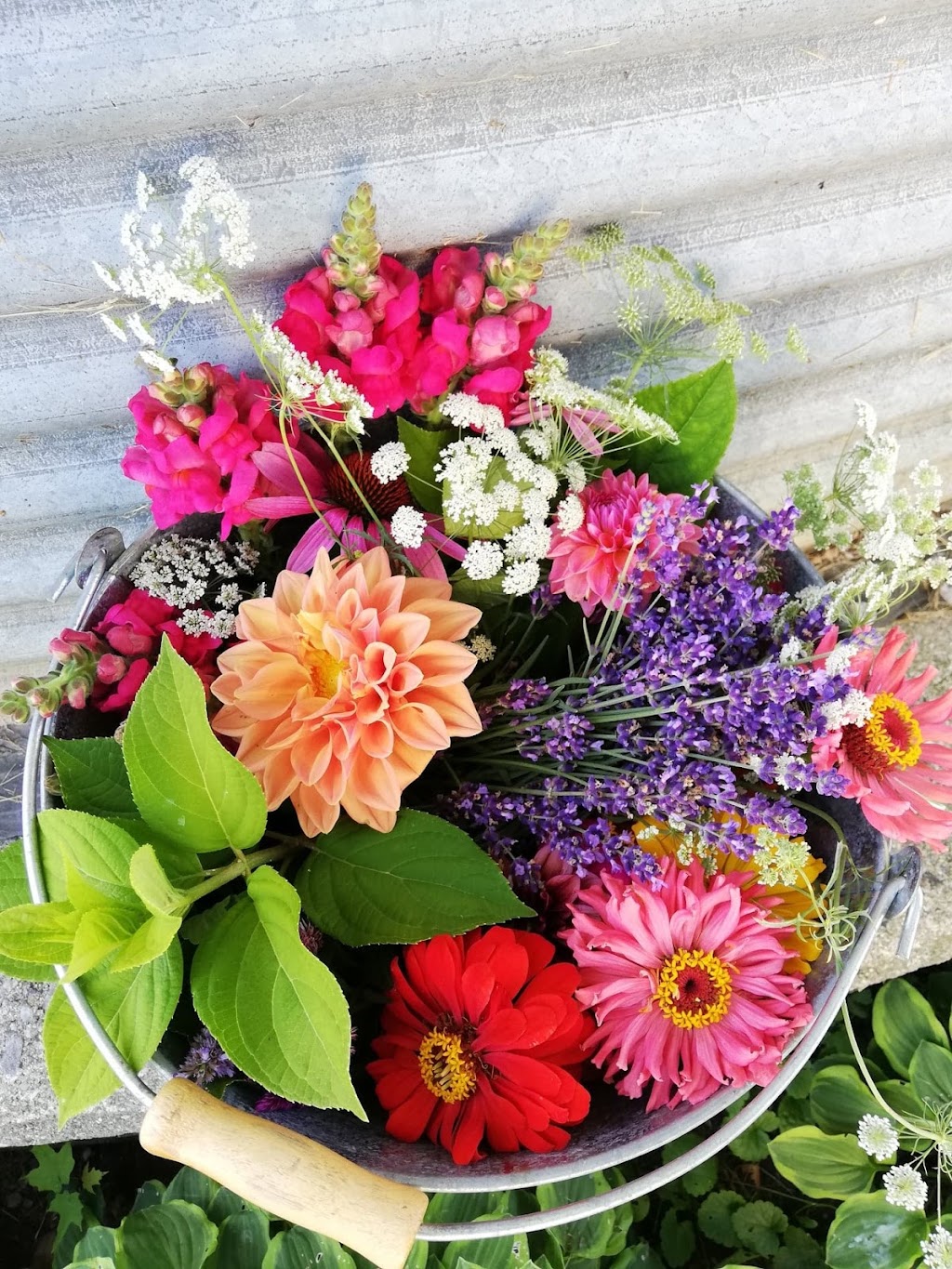 Whites Creek Flower Farm | 1125 Concession Rd 7, Beaverton, ON L0K 1A0, Canada | Phone: (705) 928-2910