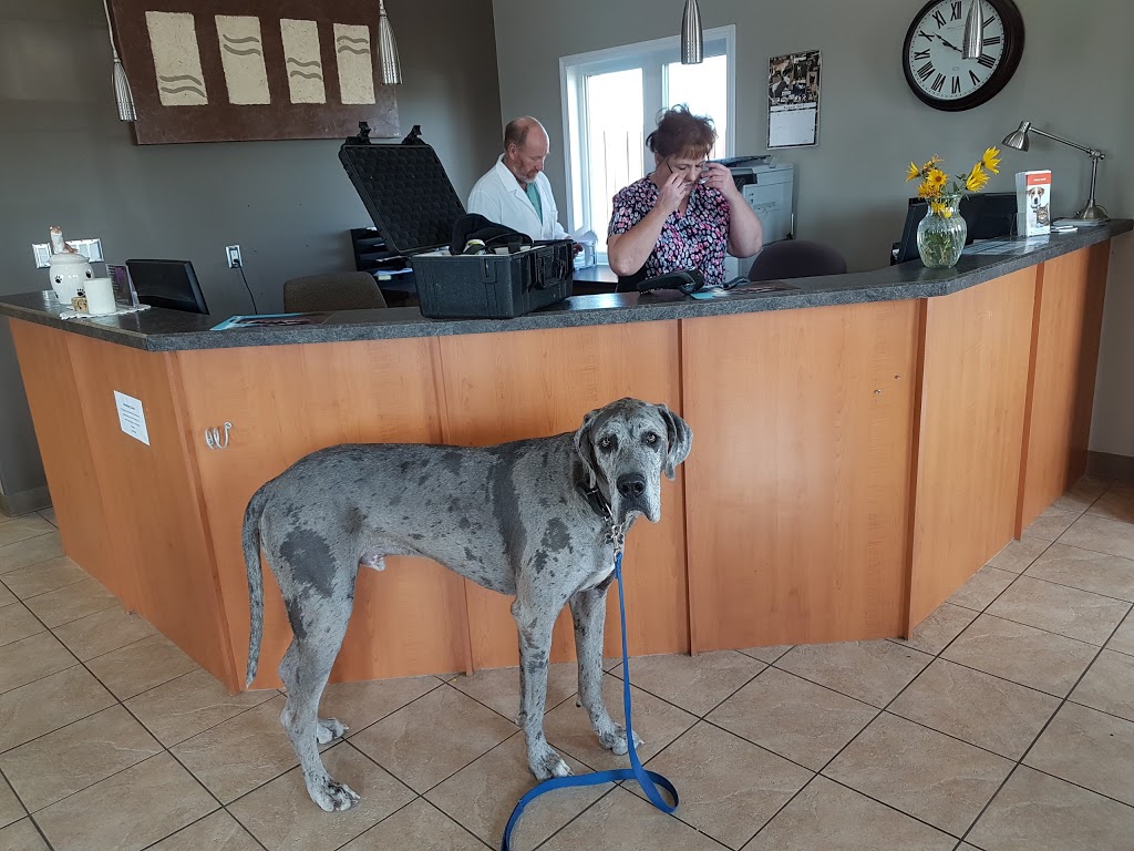 Corman Park Vet Services | Highway 14 west, Saskatoon, SK S7K 3K1, Canada | Phone: (306) 384-7676