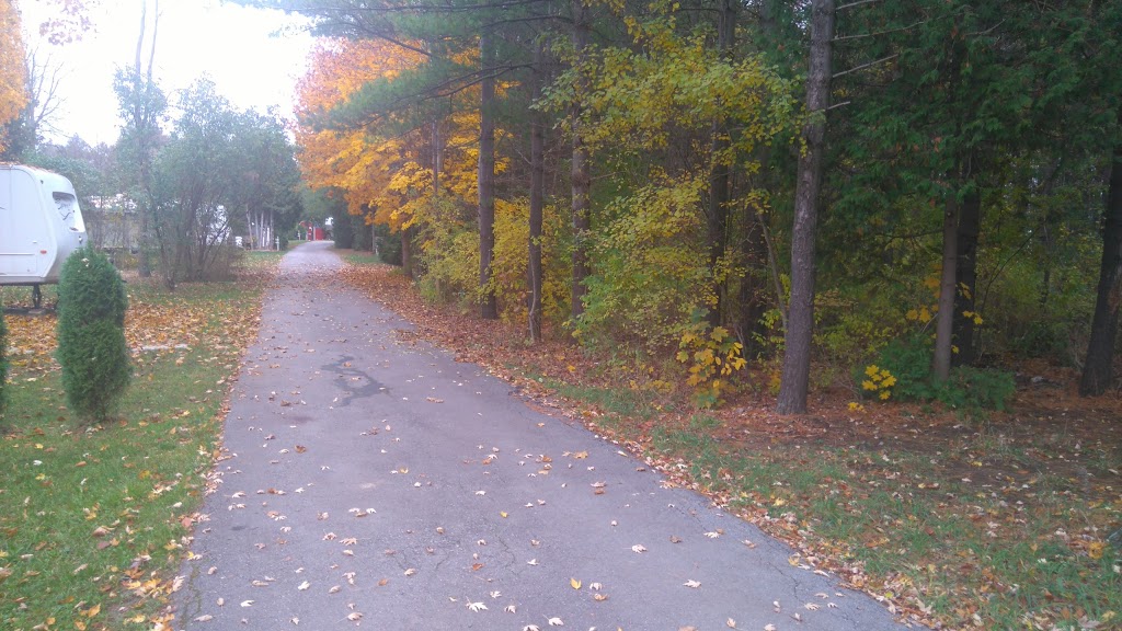 Slovenski Park | 4408 Sideroad 25 N, Cambridge, ON N3C 2V4, Canada | Phone: (226) 934-9347