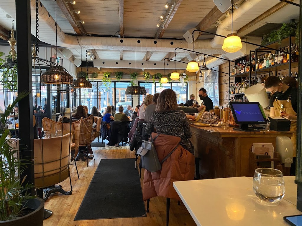 India Rosa | 1241 Avenue du Mont-Royal E, Montréal, QC H2J 1Y2, Canada | Phone: (514) 543-1880