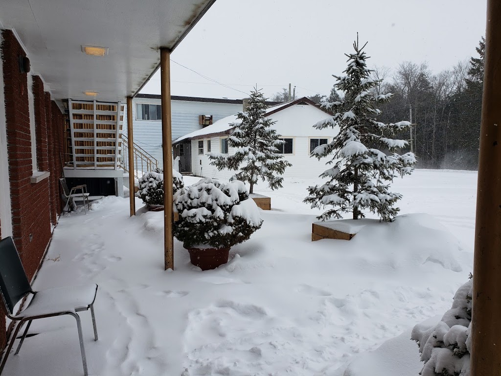 Shawville Hotel | 921 QC-148, Shawville, QC J0X 2Y0, Canada | Phone: (343) 996-2253