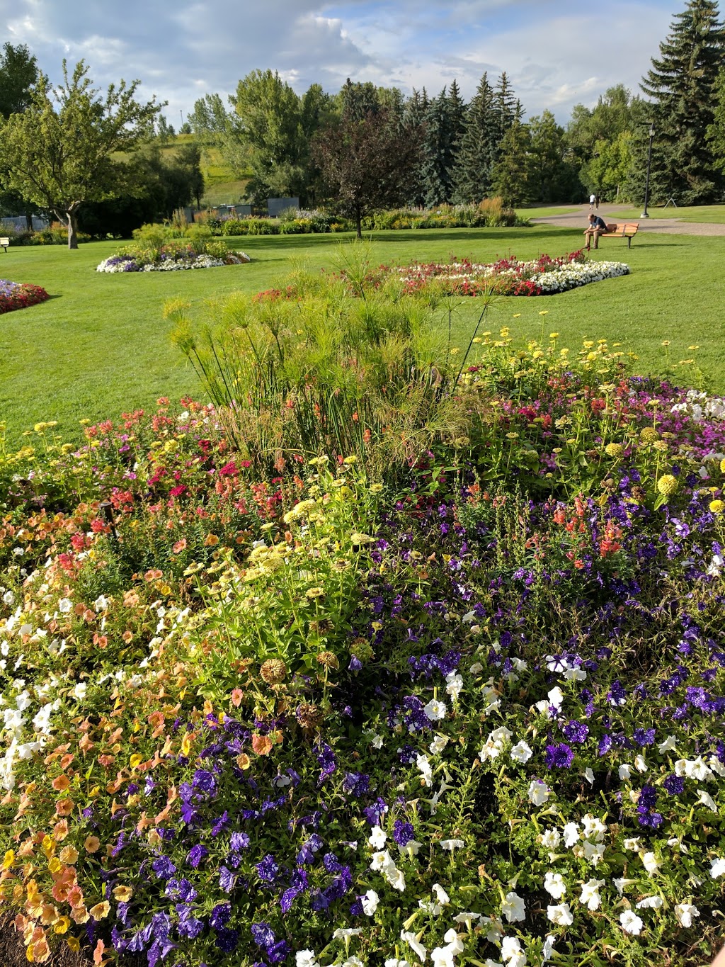 Riley Park | 800 12 St NW, Calgary, AB T2N 0S2, Canada | Phone: (403) 268-2489
