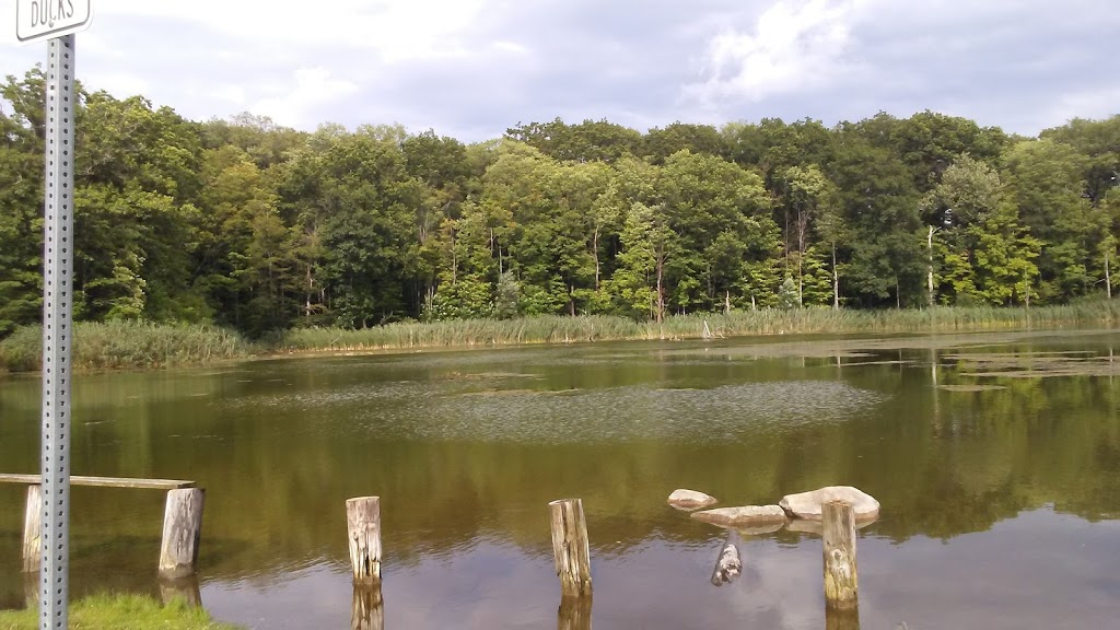 Sinking Pond Wildlife Sanctuary | East Aurora, NY 14052, USA