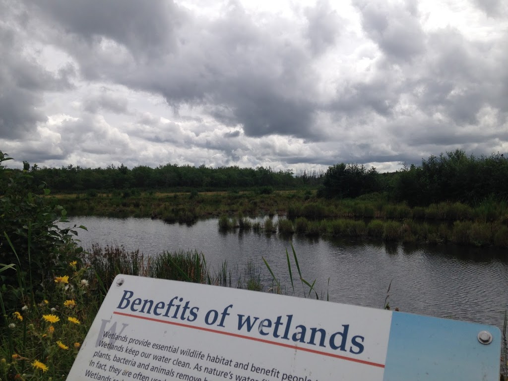 Brookfield Wetland & Nature Trail | Brookfield Wetlands Trail, Brookfield, NS B0N 1C0, Canada
