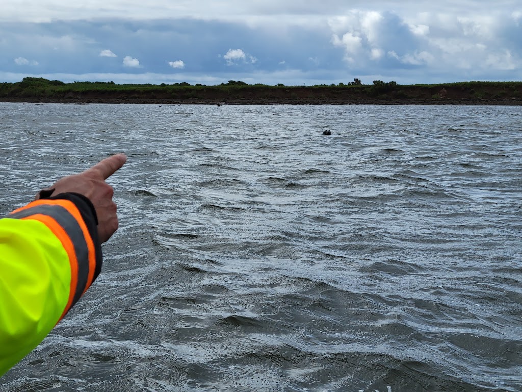 Adventures Marine zodiac Boat Tours | Dock A Charlottetown Yacht Club 2 Pr, Charlottetown, PE C1A 4J6, Canada | Phone: (902) 916-9940