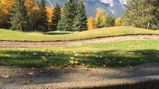 CurbMaster Concrete and Landscape | 1519 41 Ave SE, Calgary, AB T2G 1X7, Canada | Phone: (403) 240-2526