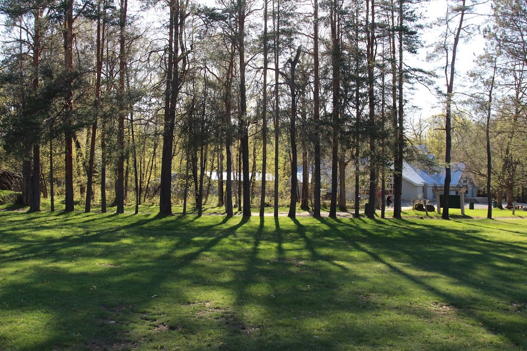 Camp Winnebagoe | 52 E Fox Lake Rd, Huntsville, ON P1H 2J2, Canada | Phone: (705) 789-5892