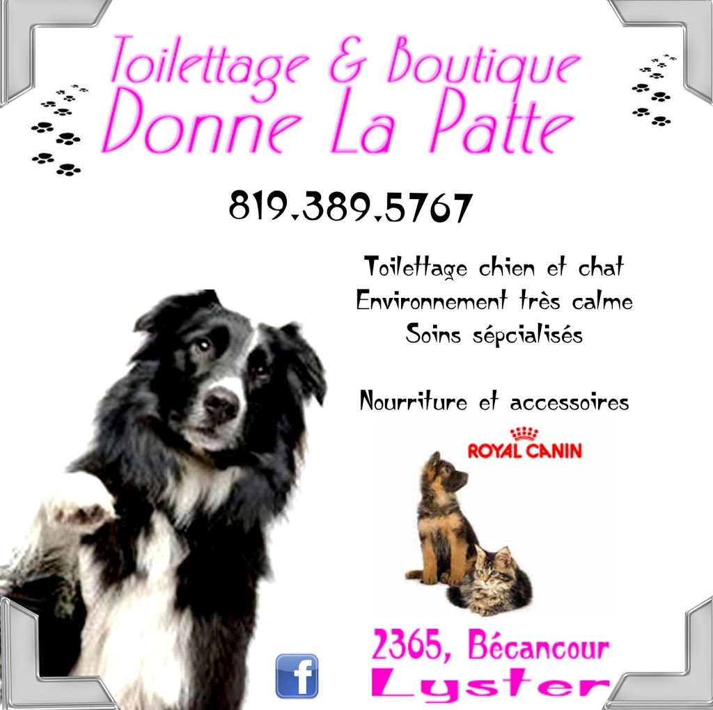 Toilettage Donne La Patte 2365 Rue Becancour Lyster Qc G0s 1v0 Canada