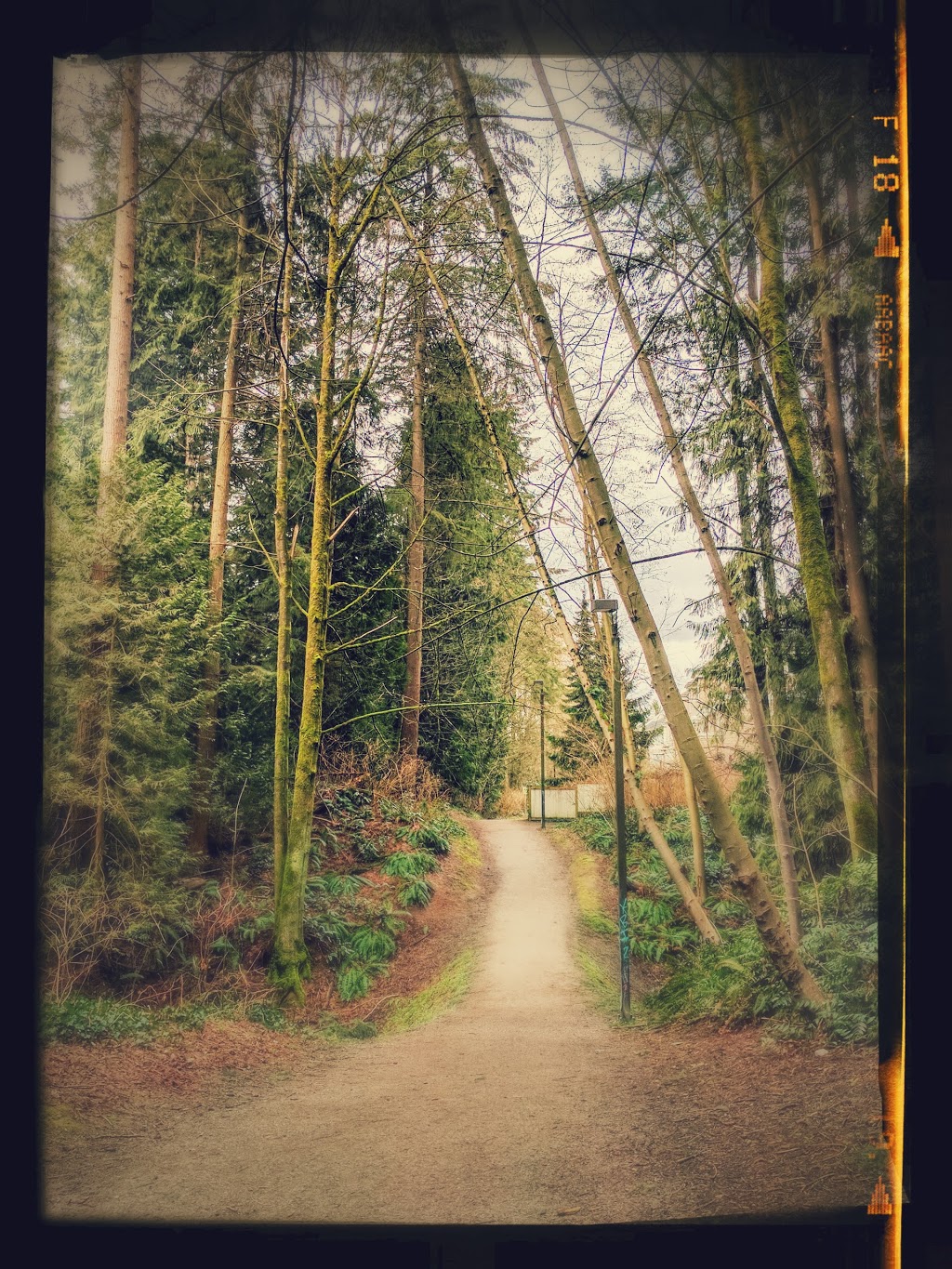Byrne Creek Ravine Park | 6555 Byrnepark Dr, Burnaby, BC V5E 4L4, Canada | Phone: (604) 294-7450