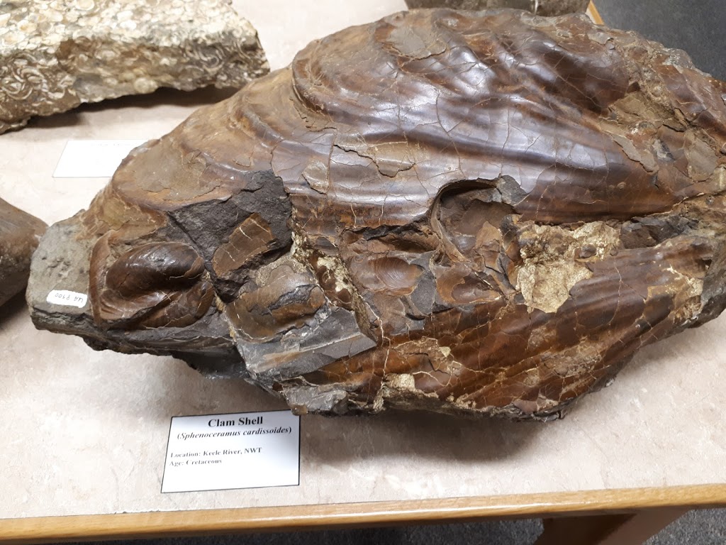Paleontology Museum | museum | Earth Sciences Building, Edmonton, AB T6G 2E3, Canada | 7804922518 OR +1 780-492-2518