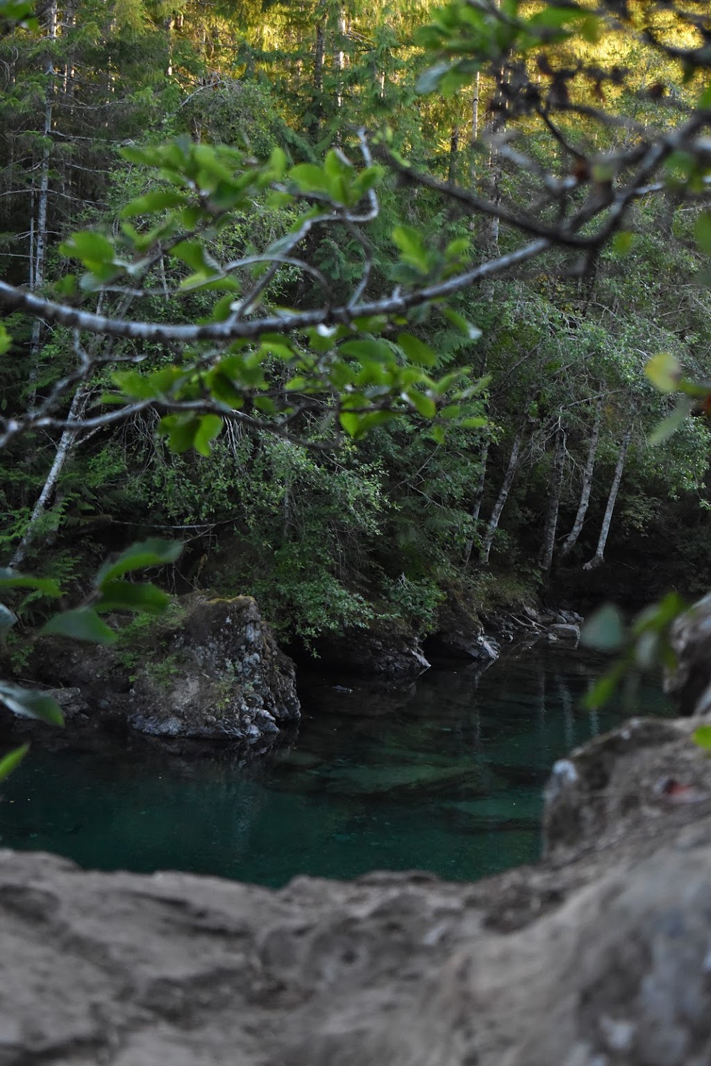 Taylor River | 858 Pacific Rim Hwy, Ucluelet, BC V0R 1W0, Canada | Phone: (800) 661-8773