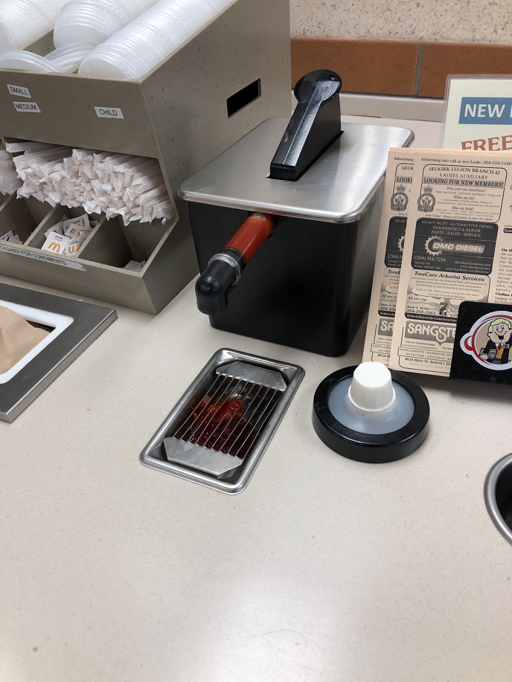 McDonalds | 1016 Manitoba Ave, Selkirk, MB R1A 4M1, Canada | Phone: (204) 785-9844