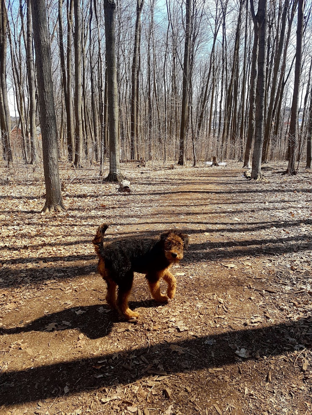 Clayt French Park | 112 Atlantis Dr, Orillia, ON L3V 7Y4, Canada