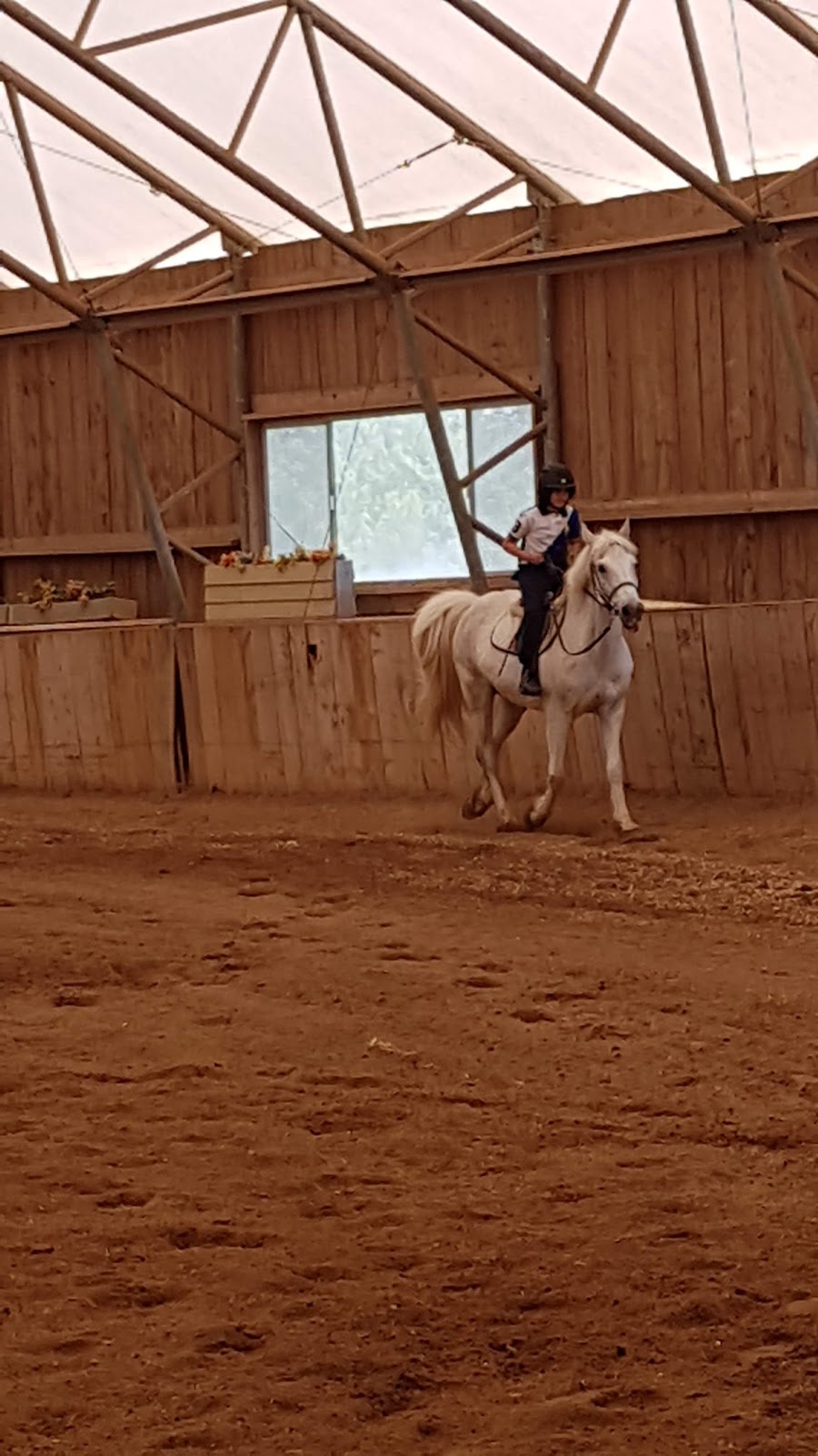Restless Pines Farm | 1418 Lucasville Rd, Hammonds Plains, NS B4B 1P7, Canada | Phone: (902) 835-7433