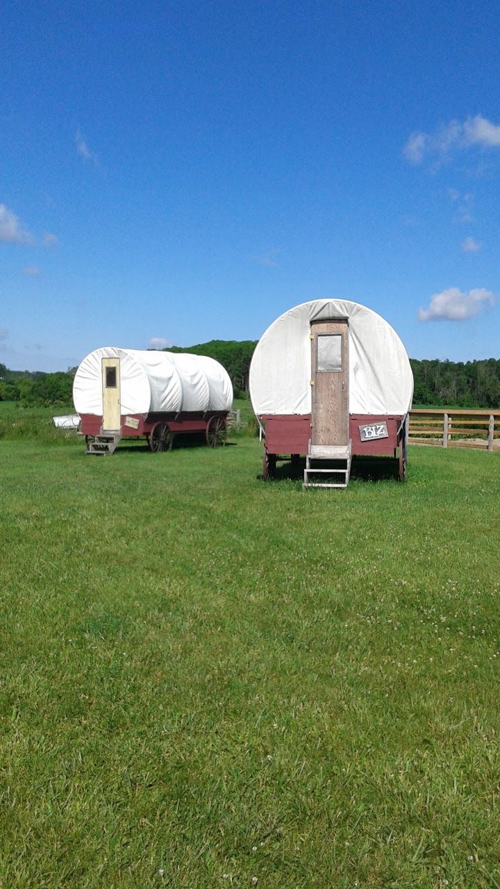 Andy Veldman | 537097 Oxford Road 34, Woodstock, ON N4S 7W1, Canada | Phone: (519) 290-4040