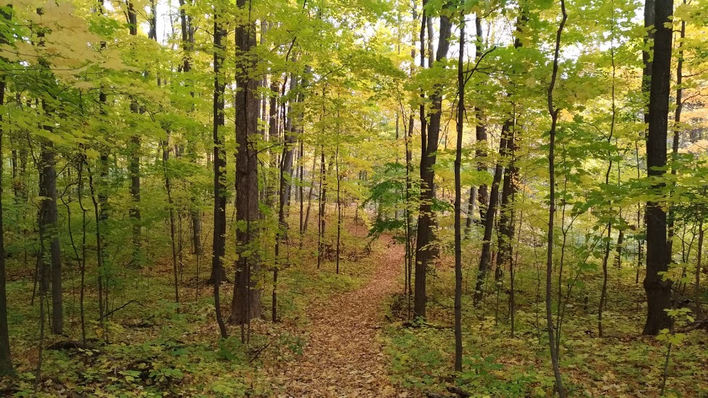 Meadowvale Station Woods North | Meadowvale Village, Mississauga, ON L5W 1Z7, Canada