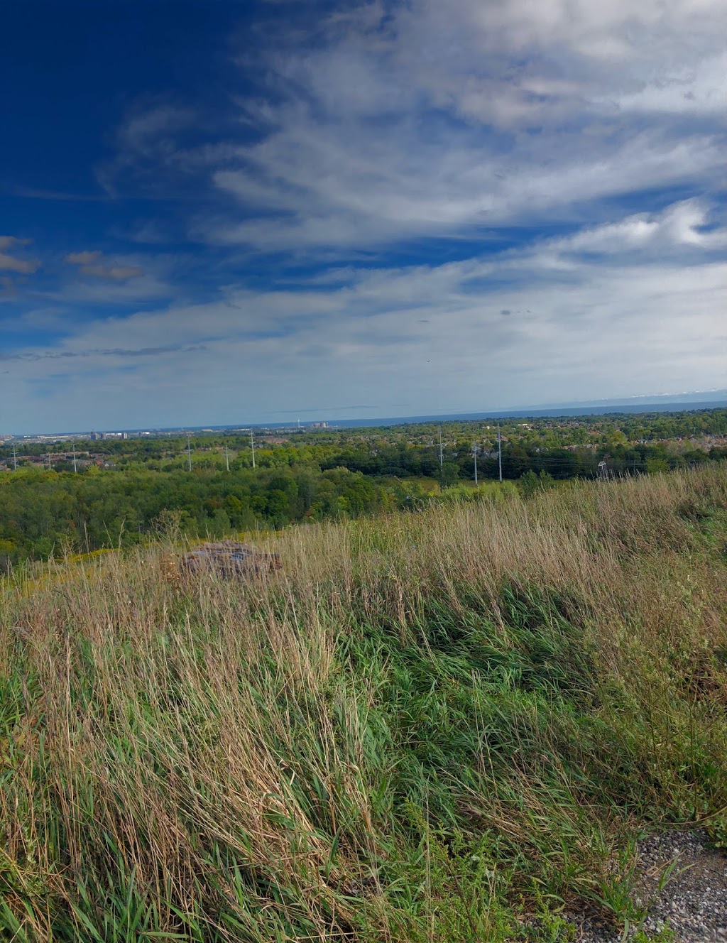 Rouge Park View | Scarborough, ON M1B 5W3, Canada