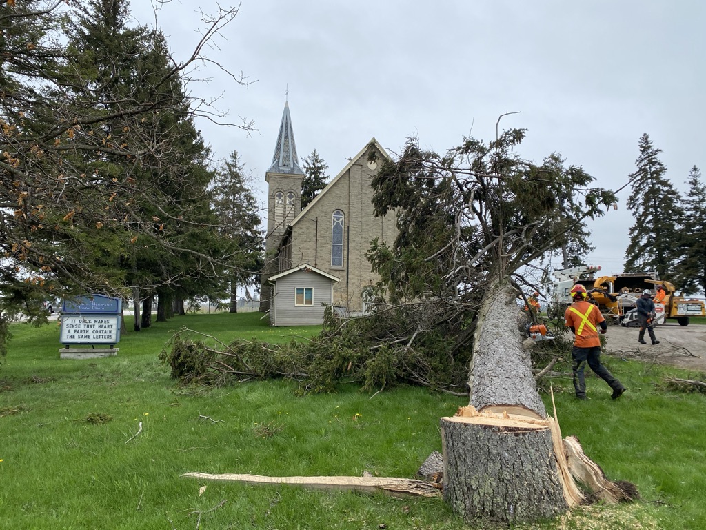 CLC Tree Services Ltd | 7024 Kerr Rd, London, ON N6N 1C5, Canada | Phone: (519) 685-0257