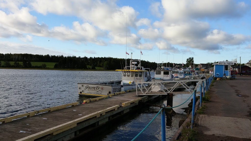 Barry Doucettes Deep Sea Fishing | 52 Harbourview Dr, North Rustico, PE C0A 1X0, Canada | Phone: (902) 393-2695